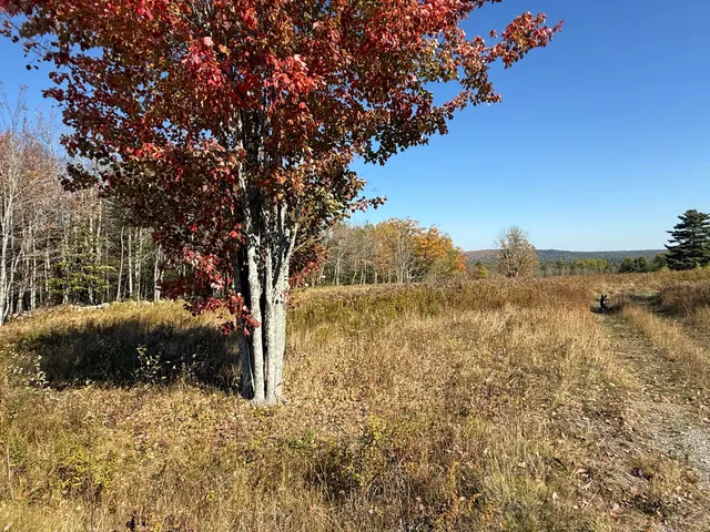 $95,000 | 14-001 Tourtelotte Ridge Road, Ellsworth, ME 04605