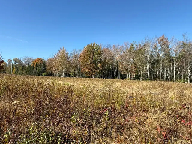 $95,000 | 14-001 Tourtelotte Ridge Road, Ellsworth, ME 04605