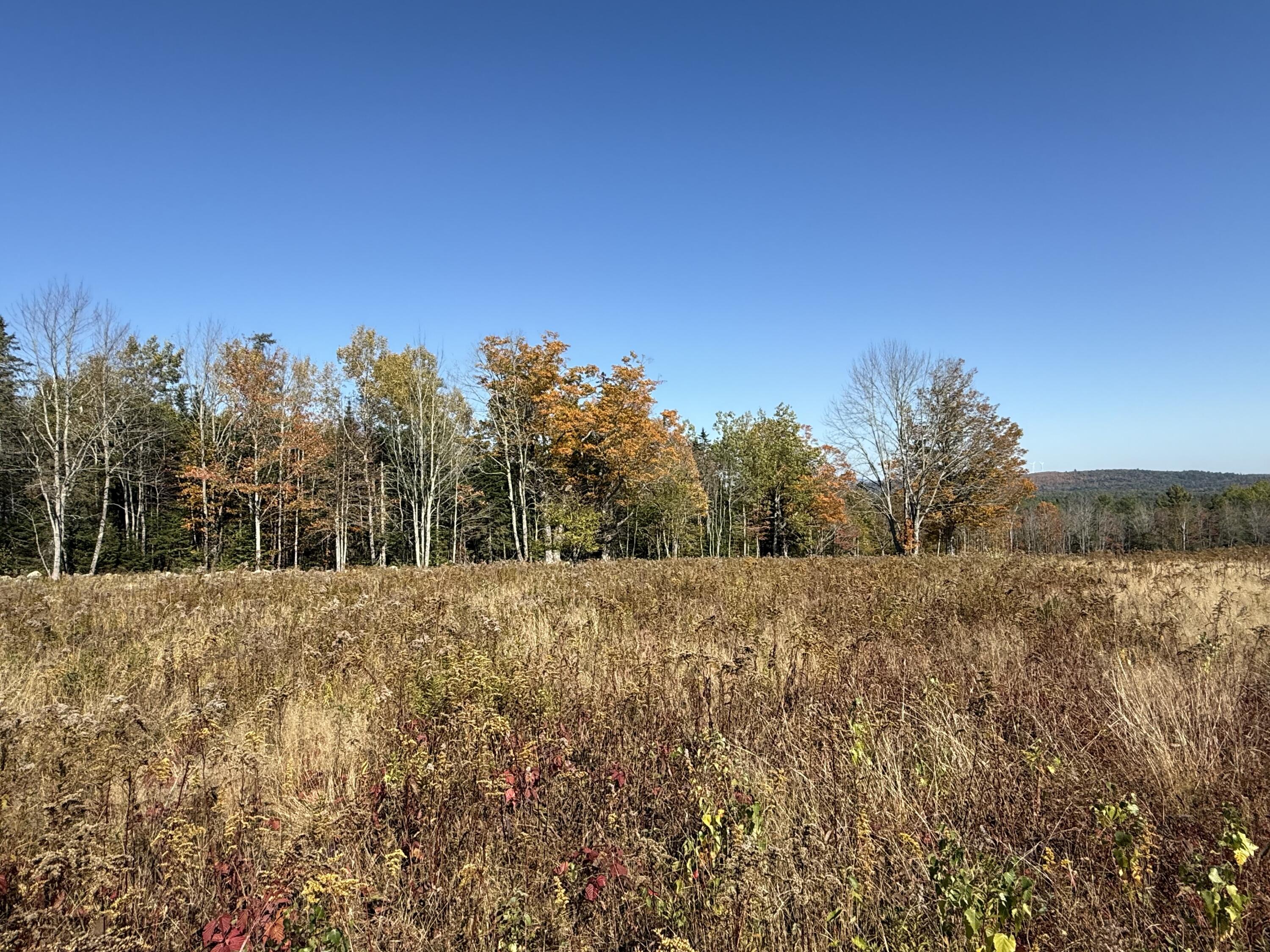 14-001 Tourtelotte Ridge Road Ellsworth, ME 04605 - Photo 16 of 35 IMG_1618