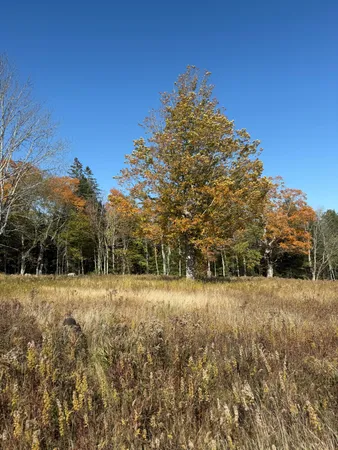 $90,000 | 14-001 Tourtelotte Ridge Road, Ellsworth, ME 04605