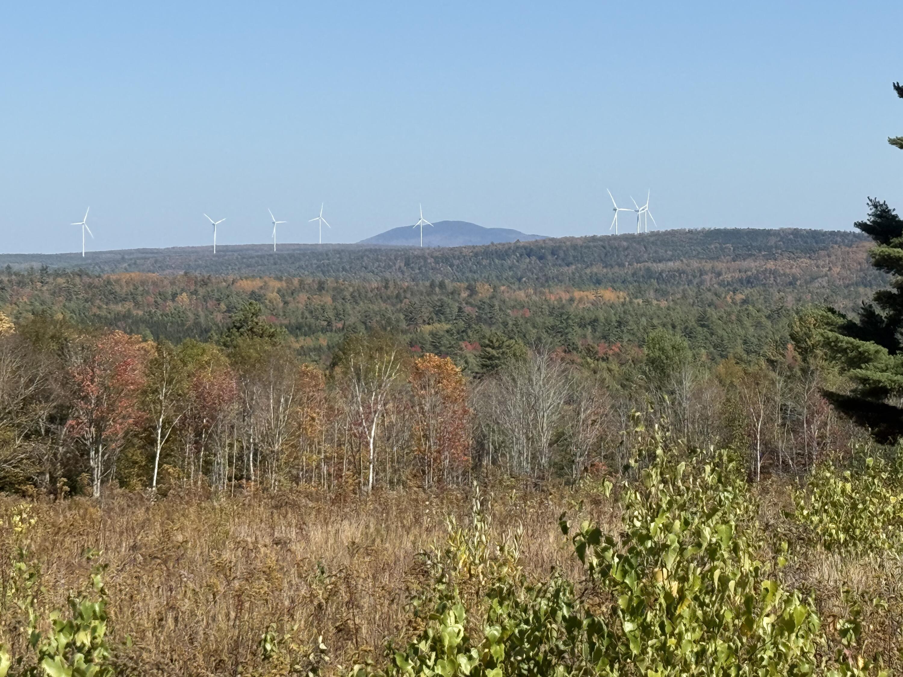 14-001 Tourtelotte Ridge Road Ellsworth, ME 04605 - Photo 2 of 35 IMG_1633