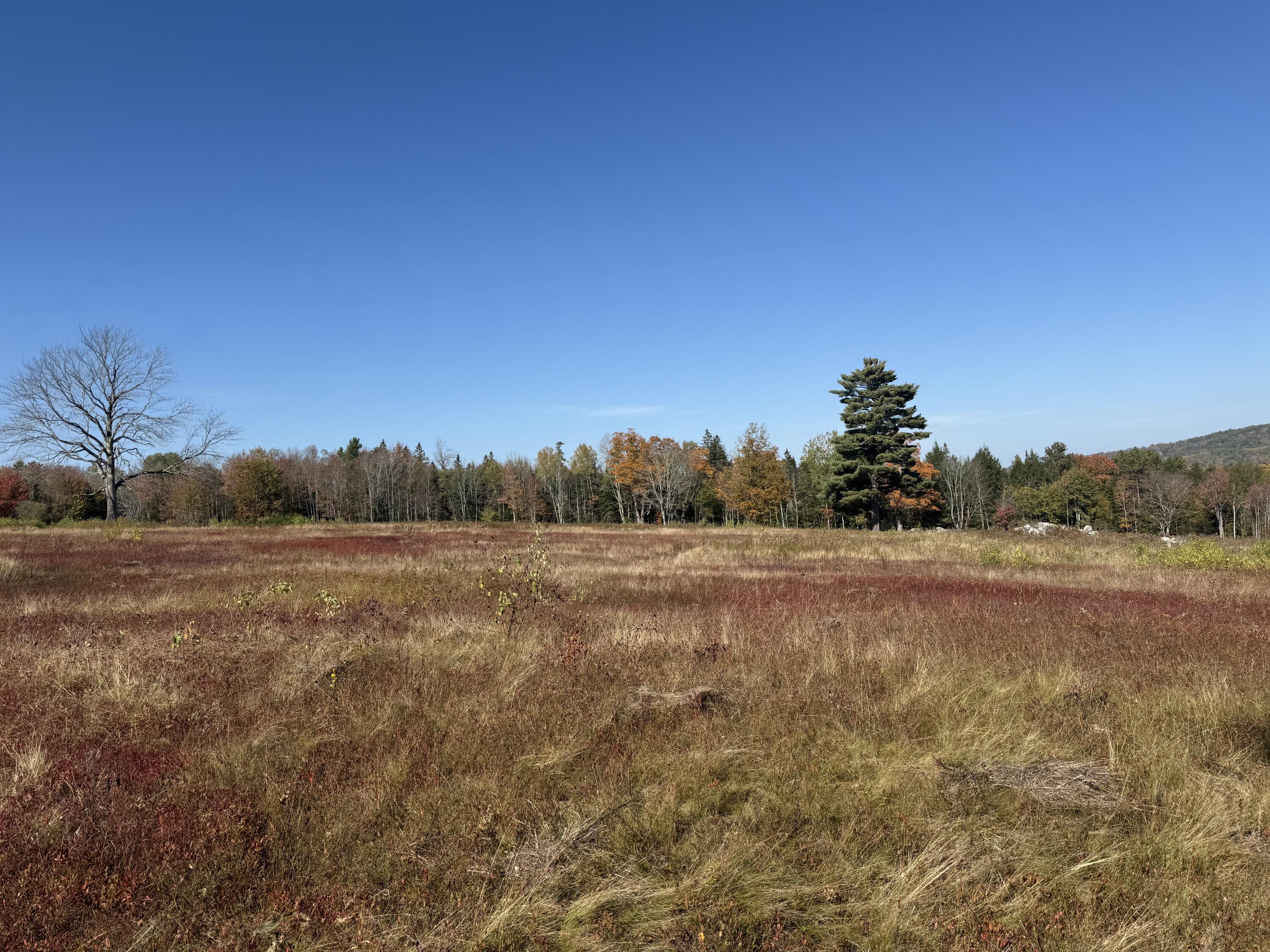 14-001 Tourtelotte Ridge Road Ellsworth, ME 04605 - Photo 21 of 35 IMG_1600