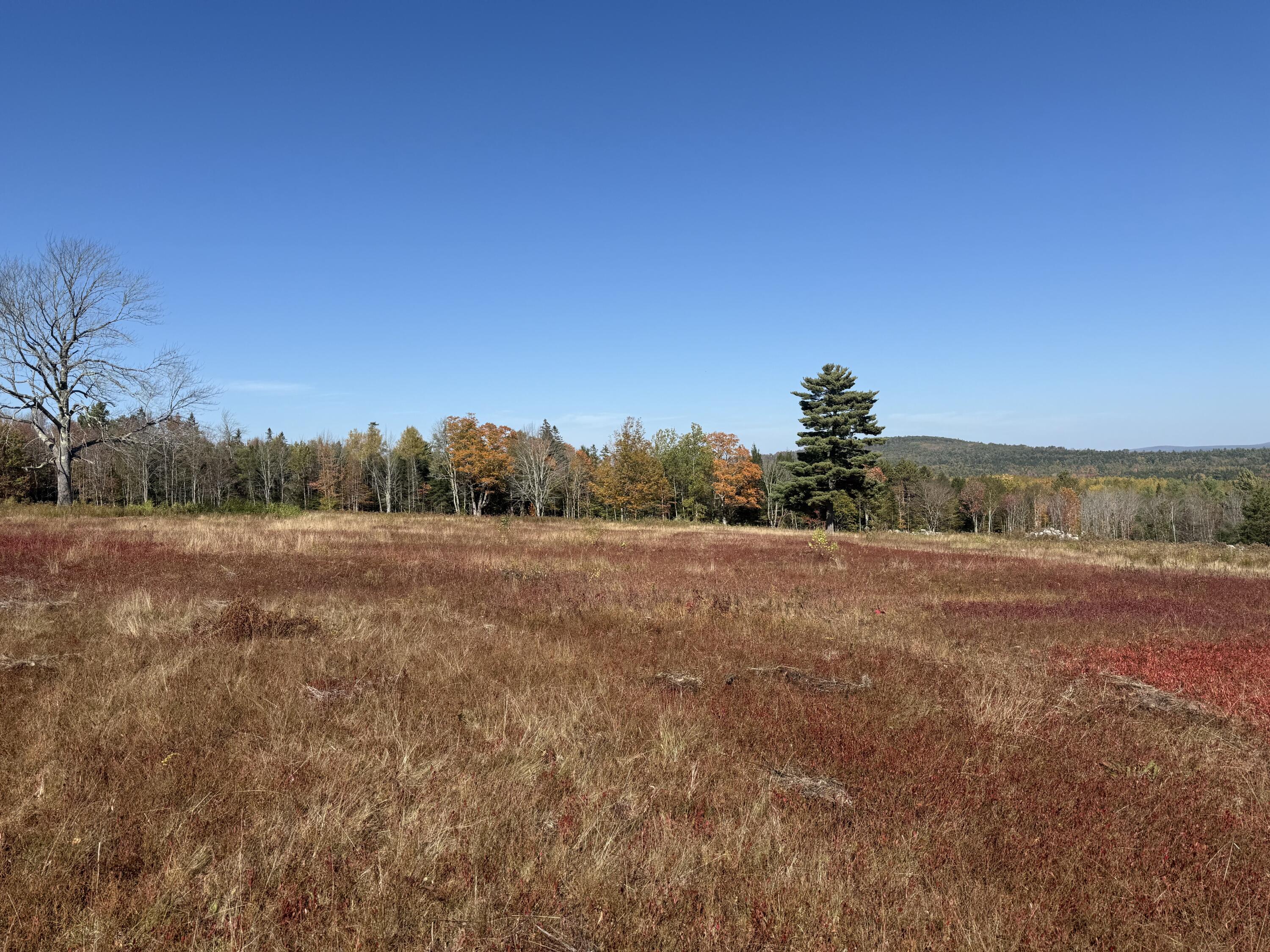 14-001 Tourtelotte Ridge Road Ellsworth, ME 04605 - Photo 22 of 35 IMG_1597
