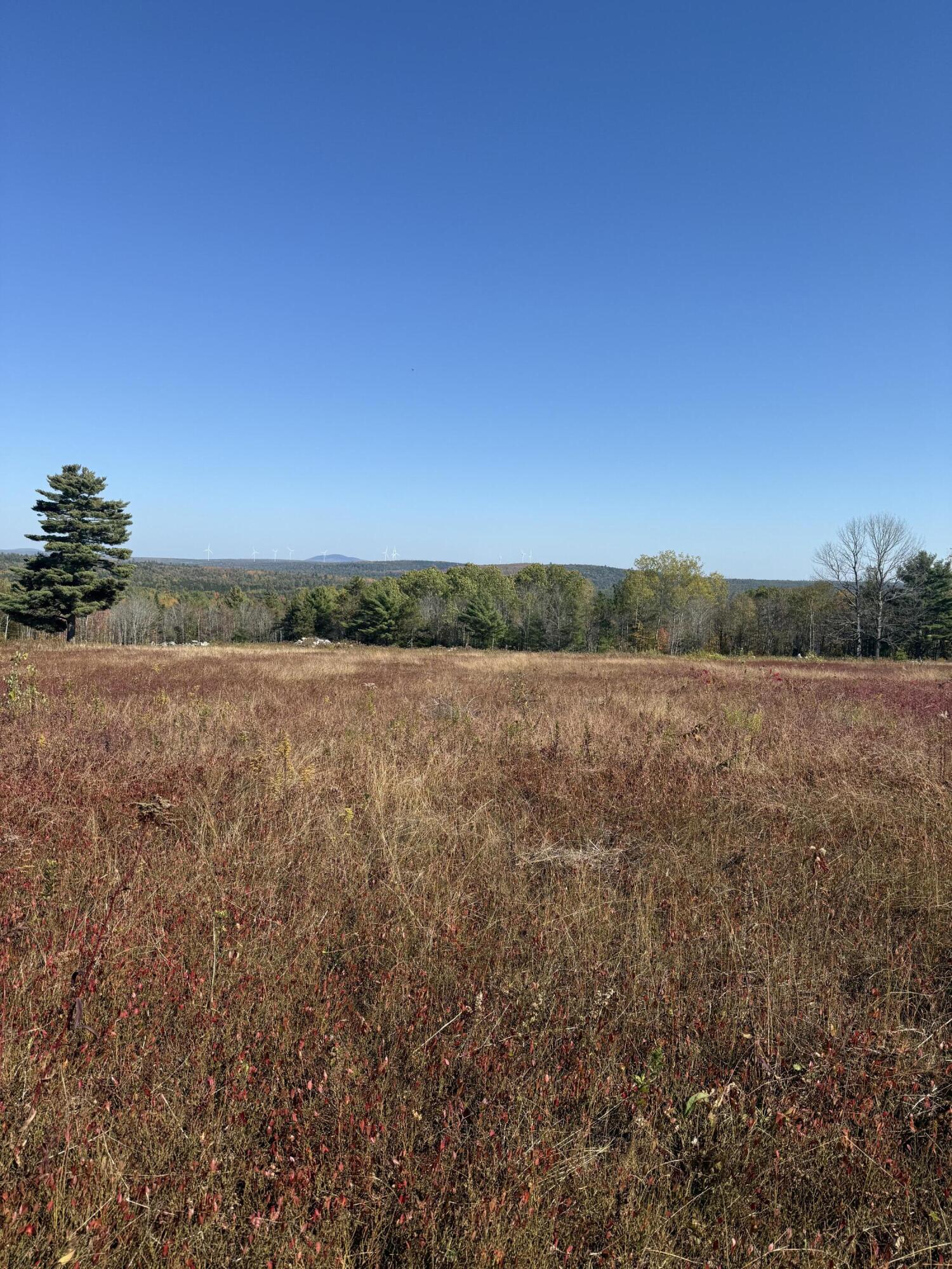 14-001 Tourtelotte Ridge Road Ellsworth, ME 04605 - Photo 23 of 35 IMG_1596