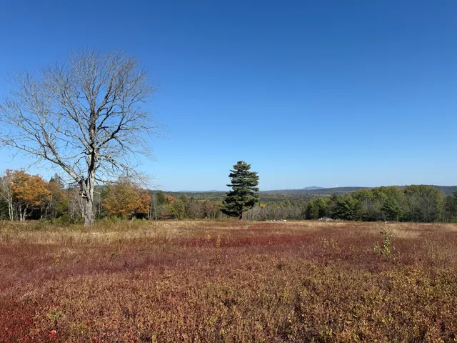 $95,000 | 14-001 Tourtelotte Ridge Road, Ellsworth, ME 04605