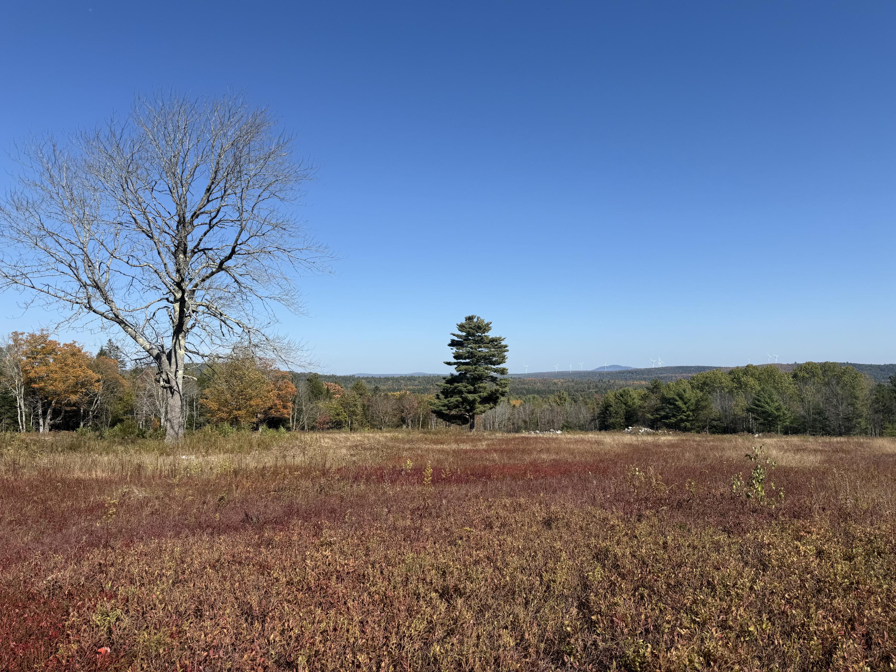 14-001 Tourtelotte Ridge Road Ellsworth, ME 04605 - Photo 24 of 35 IMG_1595