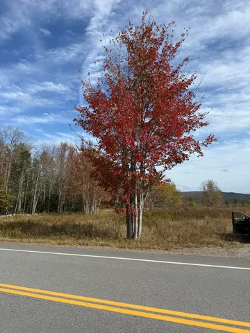 $95,000 | 14-001 Tourtelotte Ridge Road, Ellsworth, ME 04605