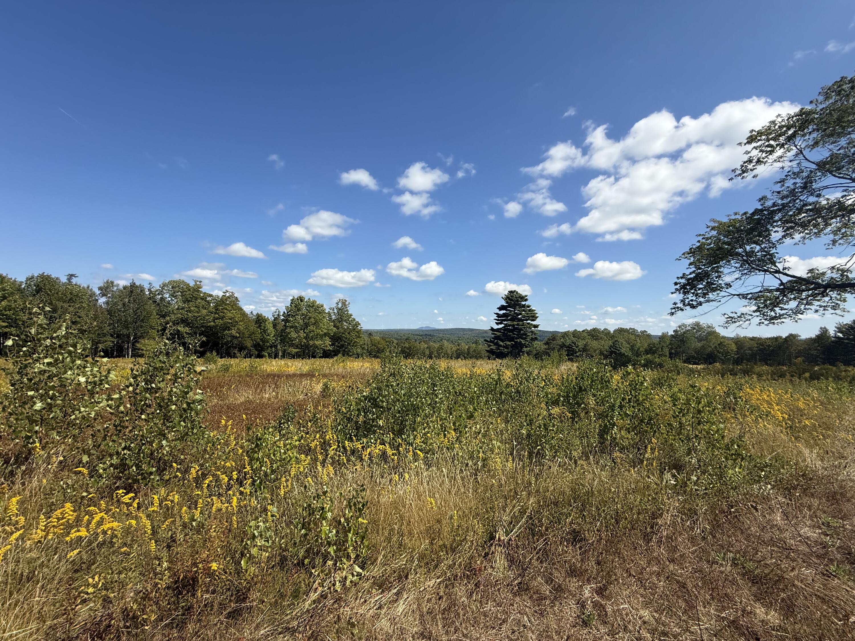 14-001 Tourtelotte Ridge Road Ellsworth, ME 04605 - Photo 29 of 35 IMG_1100