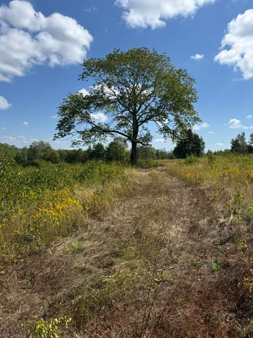 $95,000 | 14-001 Tourtelotte Ridge Road, Ellsworth, ME 04605