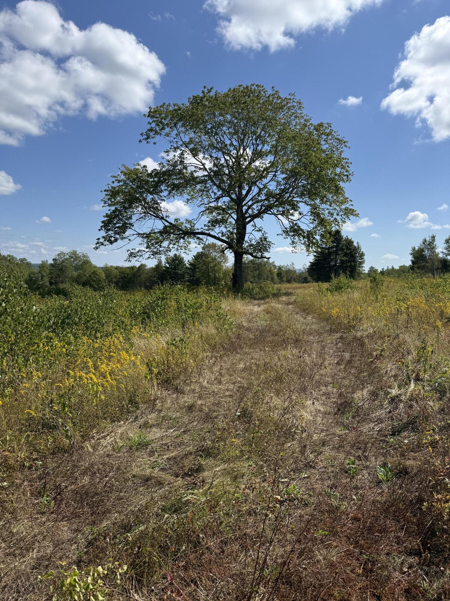 14-001 Tourtelotte Ridge Road Ellsworth, ME 04605 - Photo 30 of 35 IMG_1098