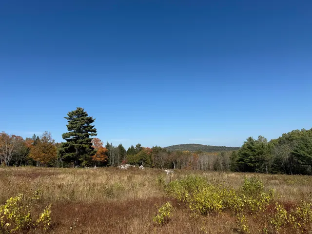 $95,000 | 14-001 Tourtelotte Ridge Road, Ellsworth, ME 04605