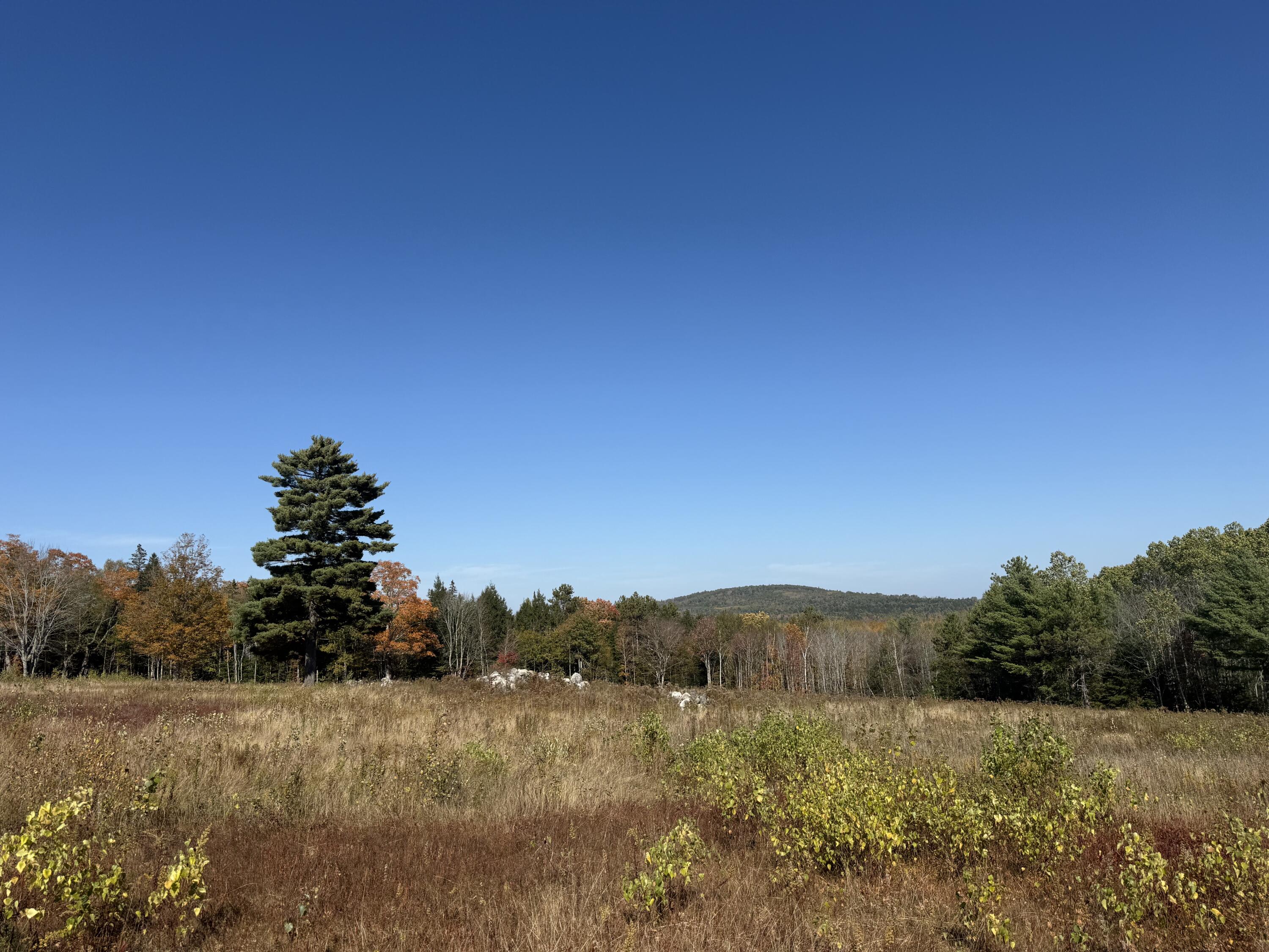 14-001 Tourtelotte Ridge Road Ellsworth, ME 04605 - Photo 3 of 35 IMG_1605