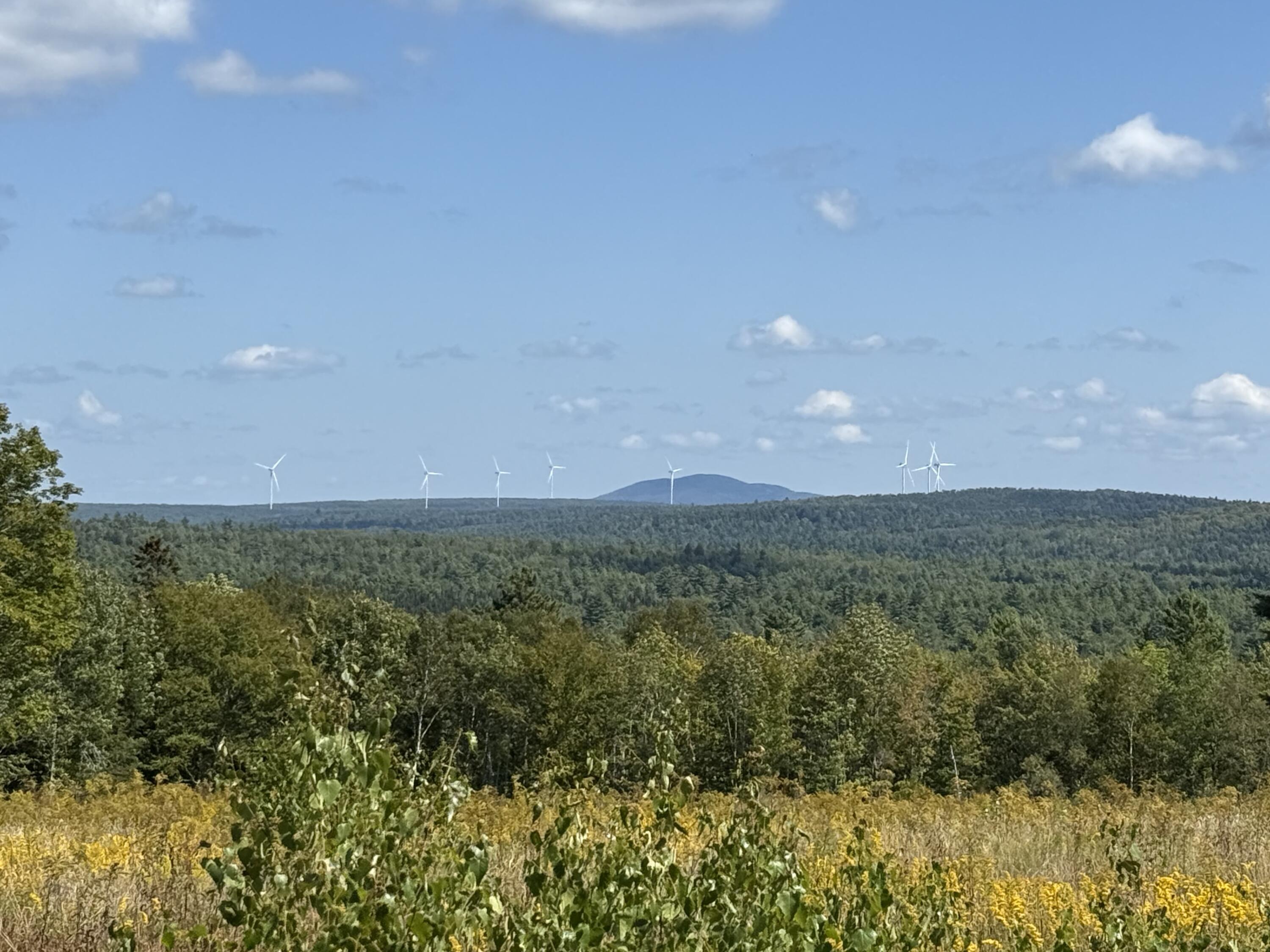 14-001 Tourtelotte Ridge Road Ellsworth, ME 04605 - Photo 32 of 35 IMG_1099