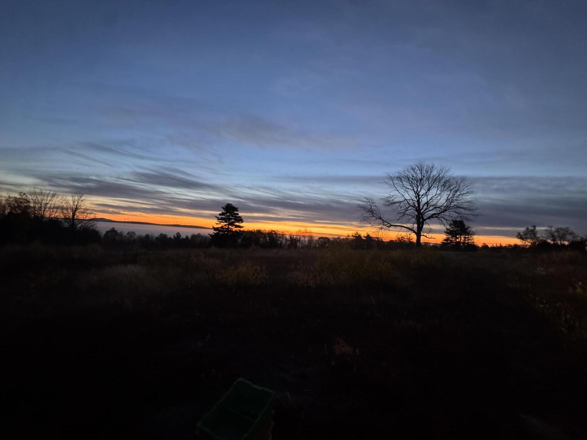 14-001 Tourtelotte Ridge Road Ellsworth, ME 04605 - Photo 34 of 35 IMG_4797