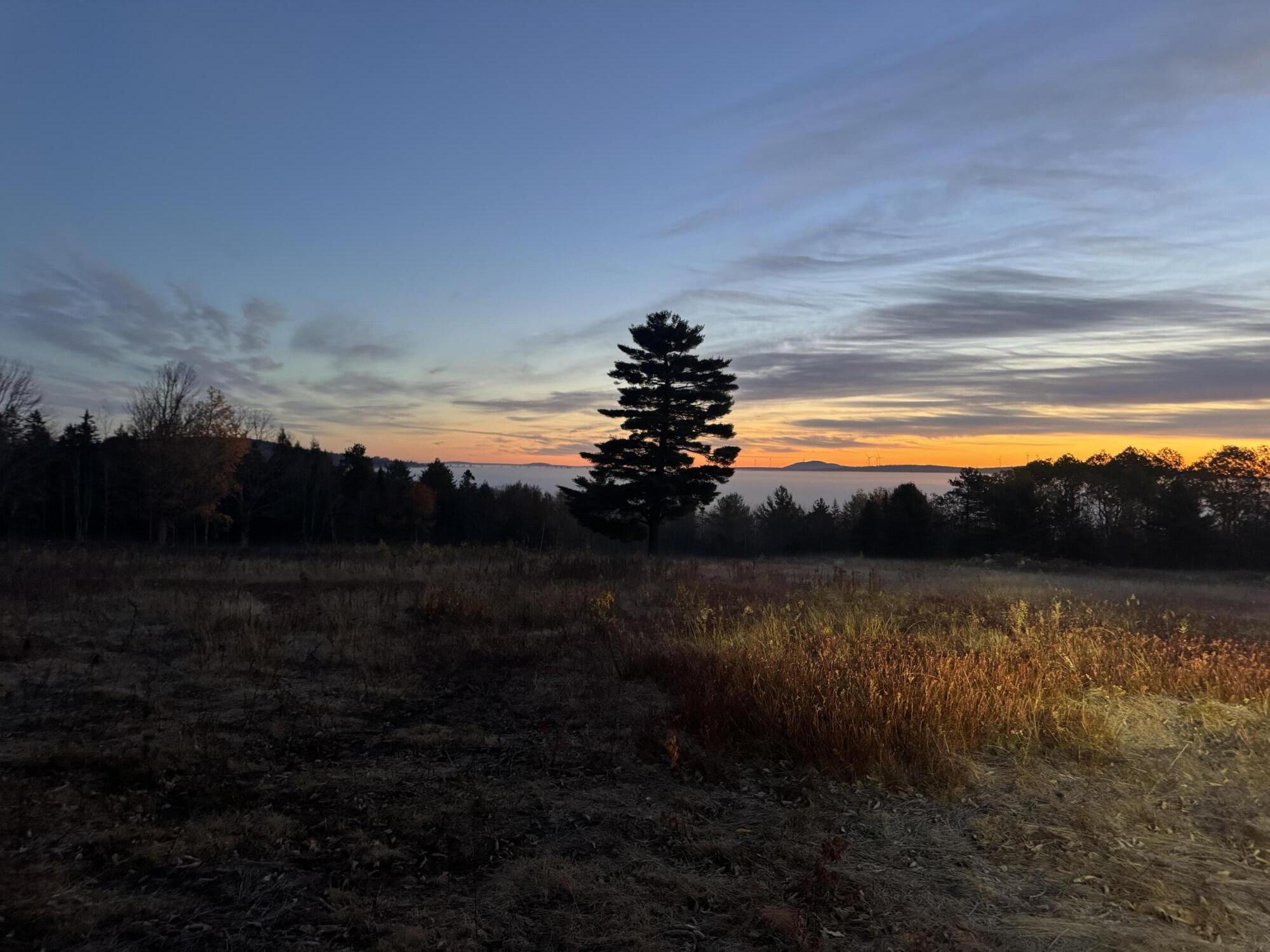 14-001 Tourtelotte Ridge Road Ellsworth, ME 04605 - Photo 35 of 35 IMG_4800