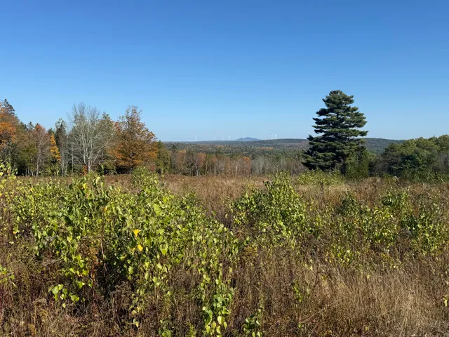 $95,000 | 14-001 Tourtelotte Ridge Road, Ellsworth, ME 04605
