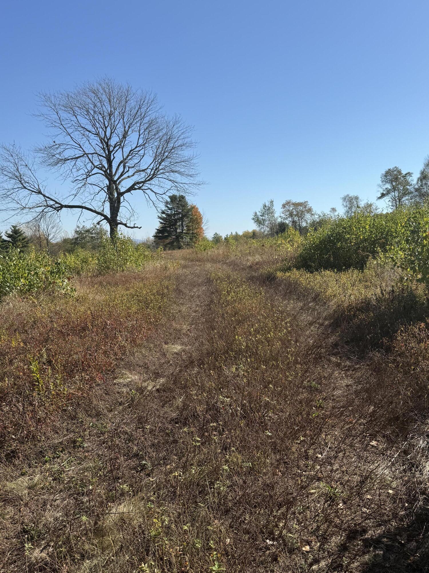 14-001 Tourtelotte Ridge Road Ellsworth, ME 04605 - Photo 5 of 35 IMG_1635