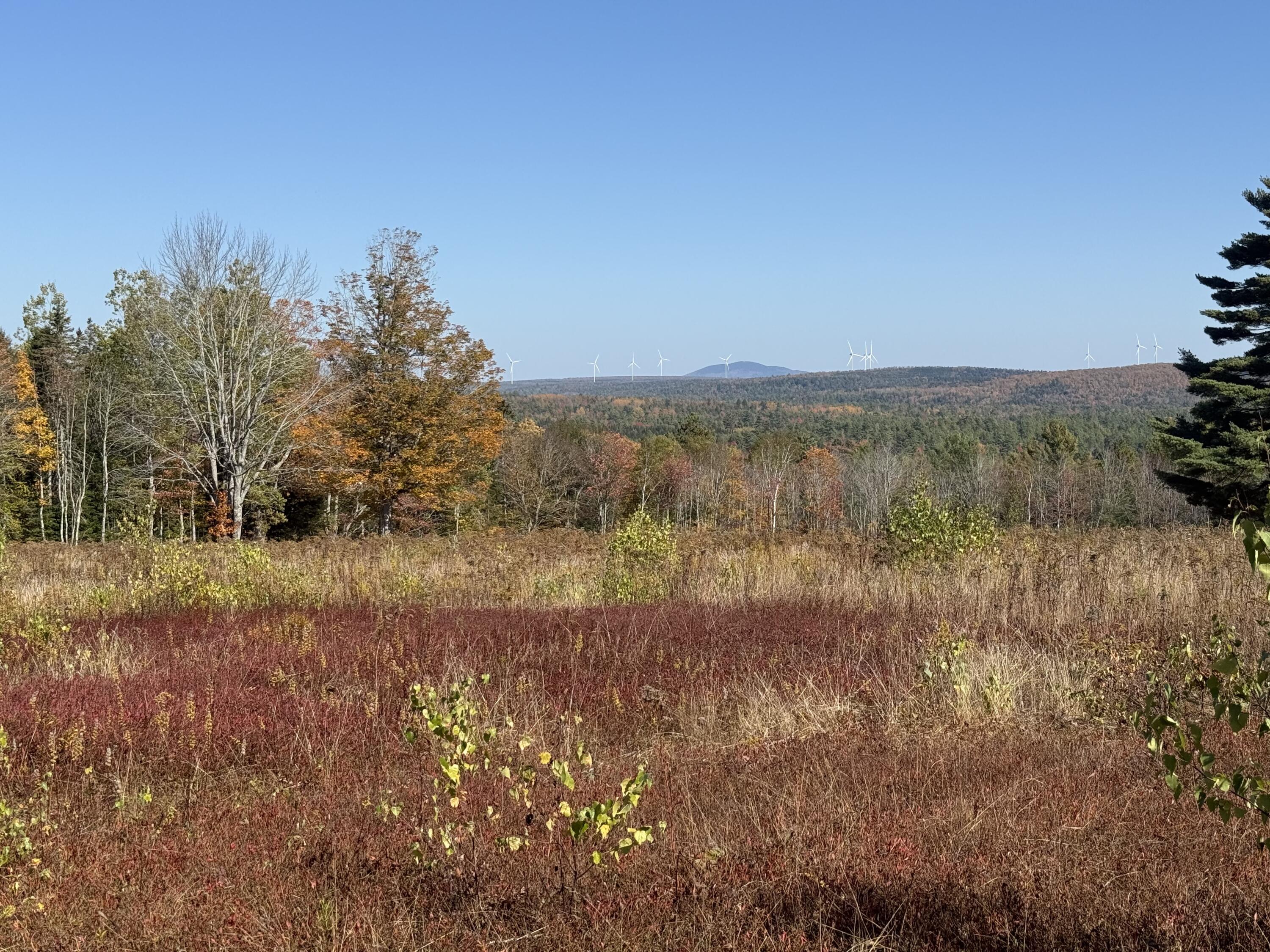 14-001 Tourtelotte Ridge Road Ellsworth, ME 04605 - Photo 7 of 35 IMG_1629