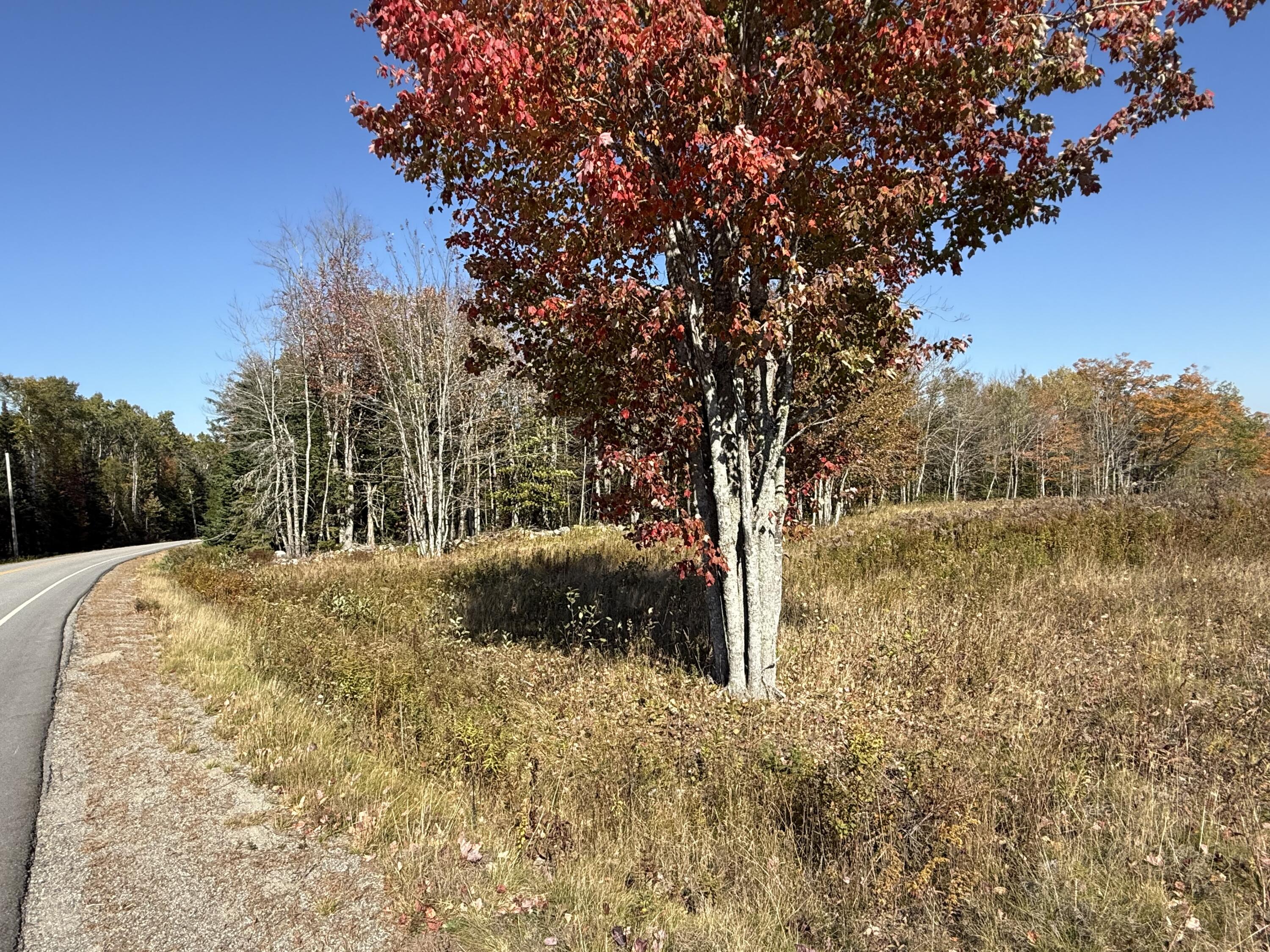14-001 Tourtelotte Ridge Road Ellsworth, ME 04605 - Photo 10 of 35 IMG_1625