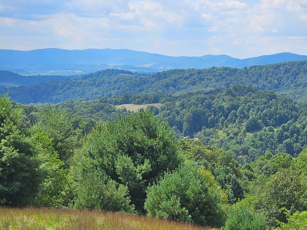1072 Briar Patch Mountain Road, Unit 3 Fries, VA 24330 - Photo 1 of 25 Gallery Image 1