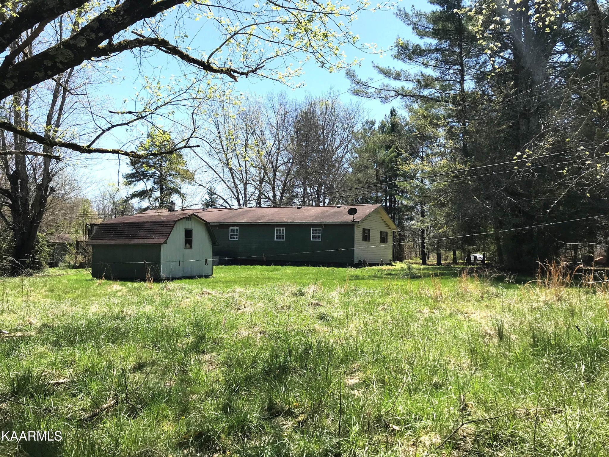 1679 Hillendale Road Crossville, TN 38572 - Photo 12 of 52 a backyard of a house with lots of green space and plants