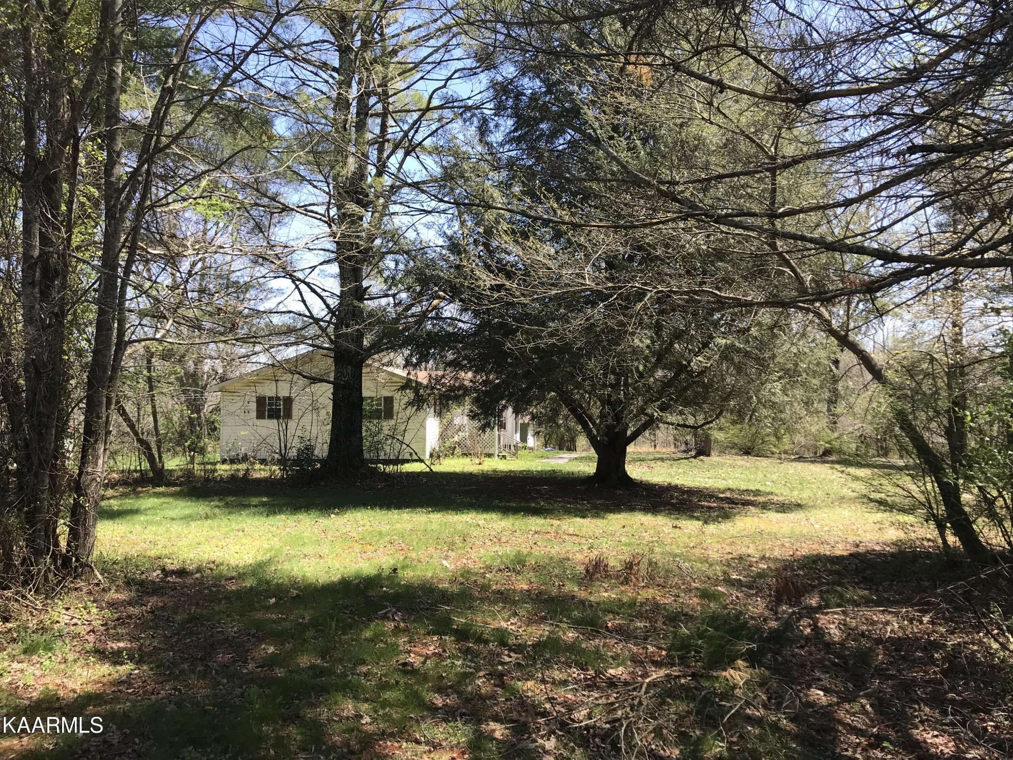 1679 Hillendale Road Crossville, TN 38572 - Photo 13 of 52 a view of yard with tree in the background