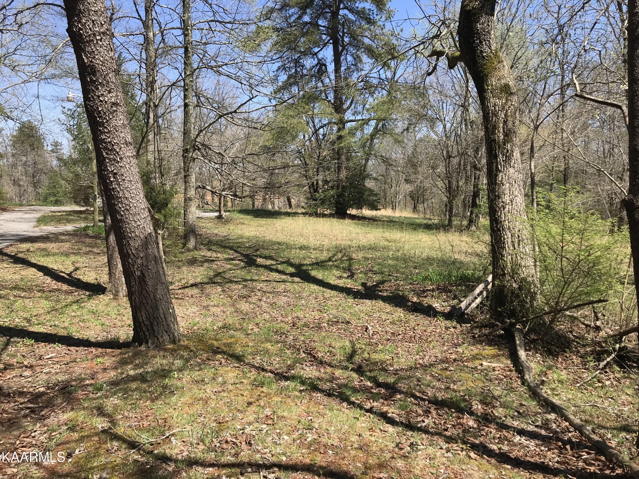 1679 Hillendale Road Crossville, TN 38572 - Photo 18 of 52 a view of a yard with large trees