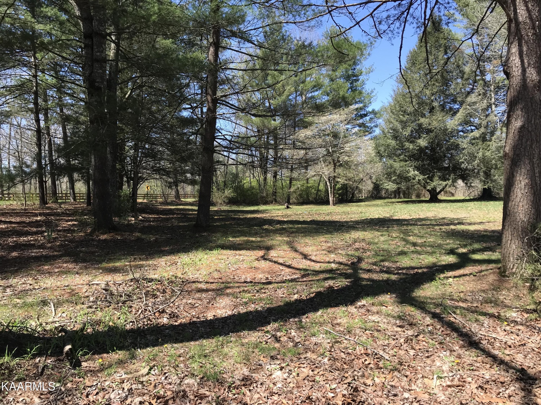 1679 Hillendale Road Crossville, TN 38572 - Photo 19 of 52 a view of a yard with a fountain