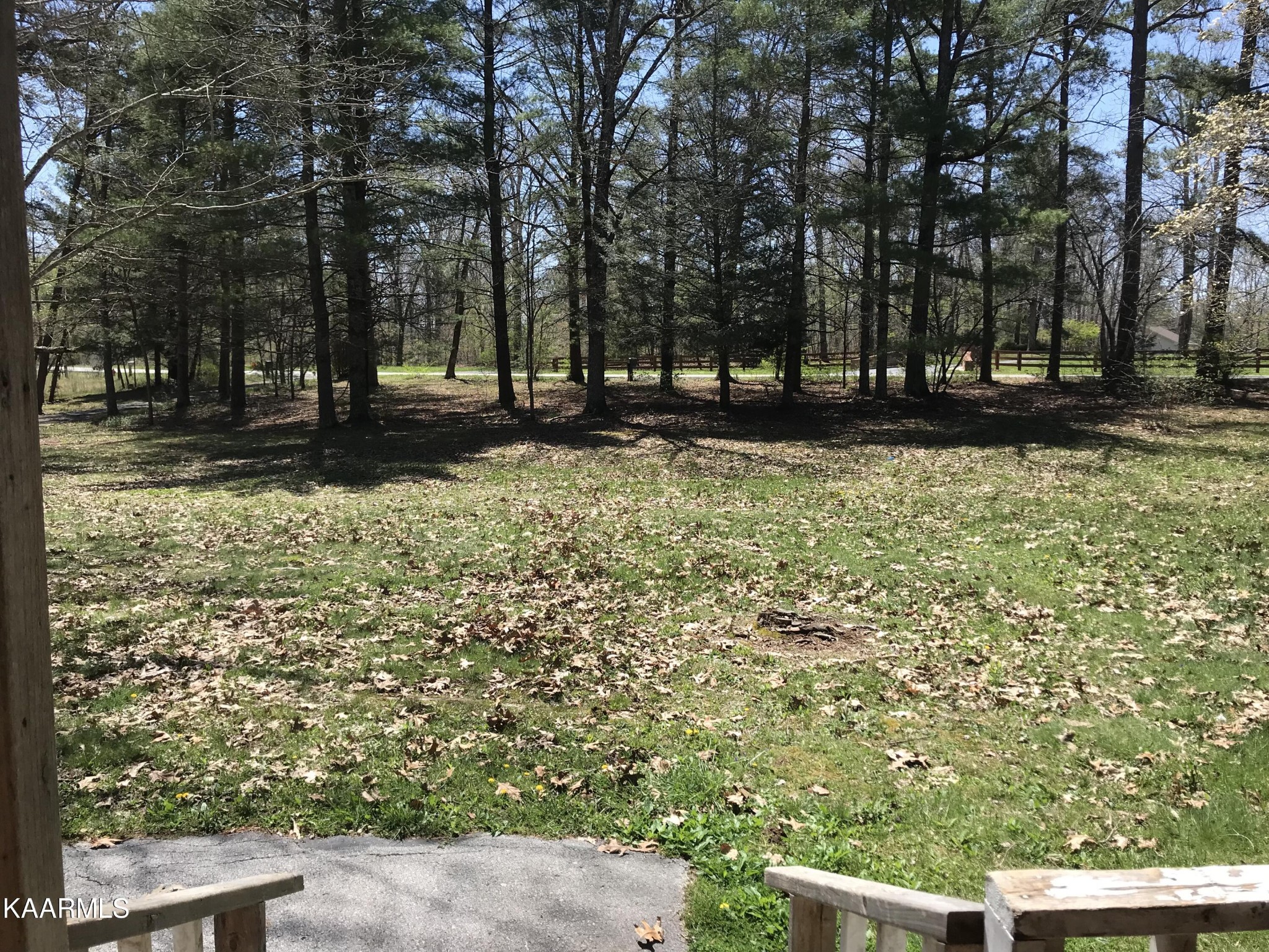 1679 Hillendale Road Crossville, TN 38572 - Photo 21 of 52 a view of yard with tree
