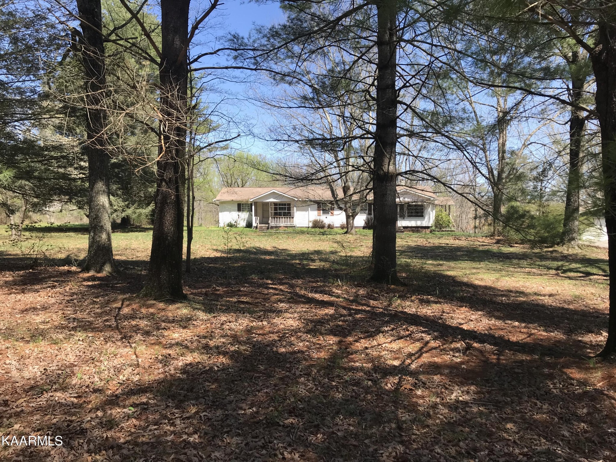 1679 Hillendale Road Crossville, TN 38572 - Photo 7 of 52 a view of street with trees
