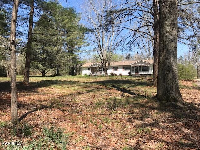 1679 Hillendale Road Crossville, TN 38572 - Photo 8 of 52 a view of a yard with a tree