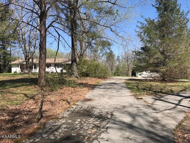 1679 Hillendale Road Crossville, TN 38572 - Photo 9 of 52 a view of backyard of green space