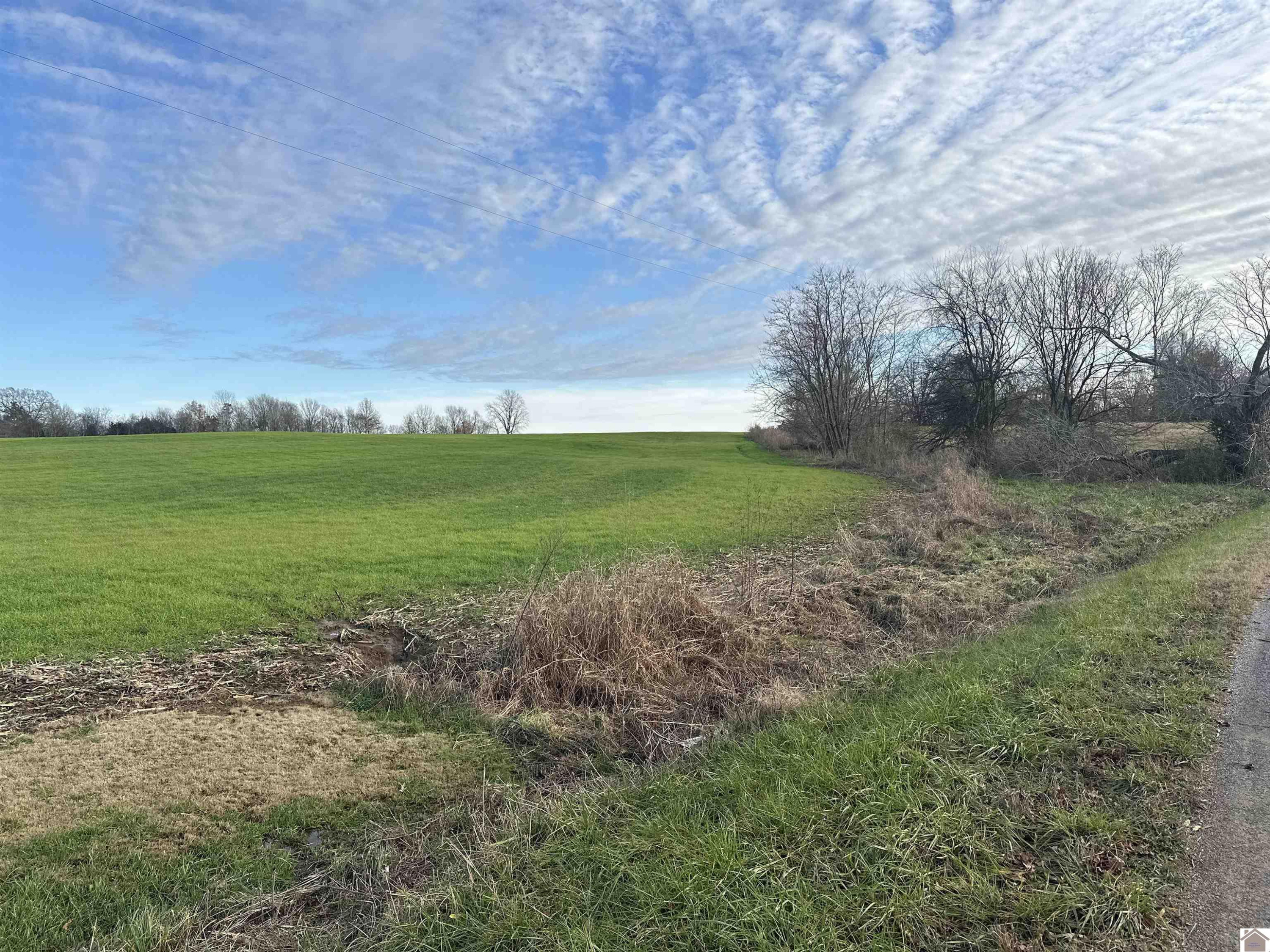 0 Elm Grove Road Almo, KY 42020 - Photo 17 of 35 Photo 17