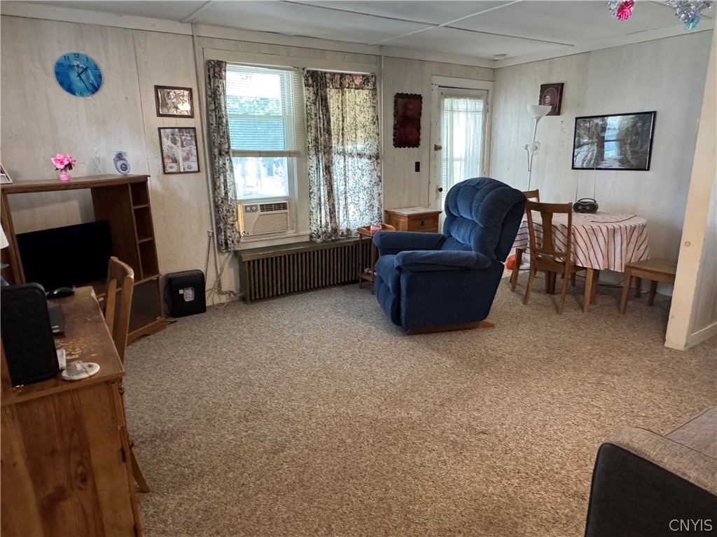 217 Bates Avenue Oneida, NY 13421 - Photo 33 of 39 Nice living room