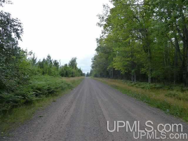 Tbd 1 Red Rock Road, Unit JACOBSVILLE Lake Linden, MI 49945 - Photo 18 of 19