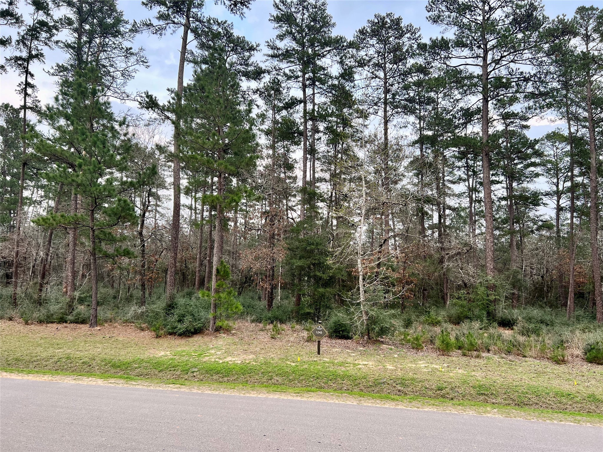 9 Lily Bean Houston, TX 77065 - Photo 1 of 32 a view of a yard with a tree