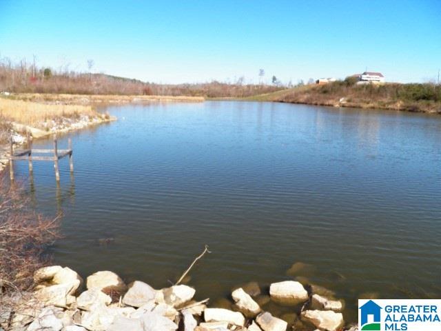 53 Eagle Cove Road, Unit 2 Ohatchee, AL 36271 - Photo 13 of 19