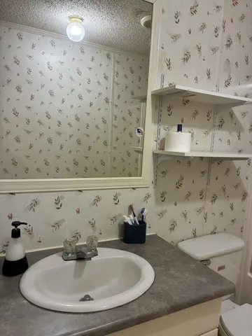 a bathroom with a sink and a mirror