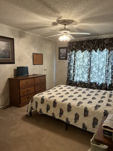 a bedroom with a bed and dresser with mirror