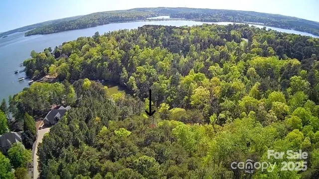 a view of a lush green field