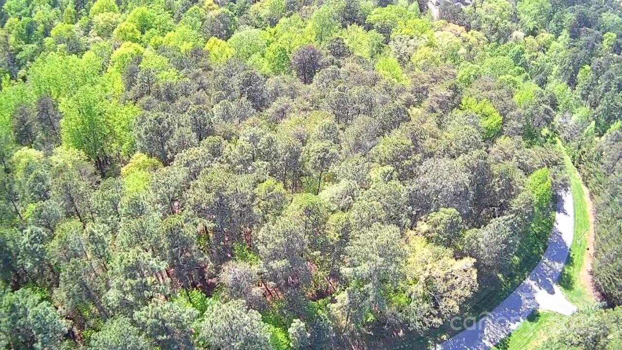 133 Baden View Road Badin Lake, NC 28127 - Photo 14 of 48 a view of a lush green forest