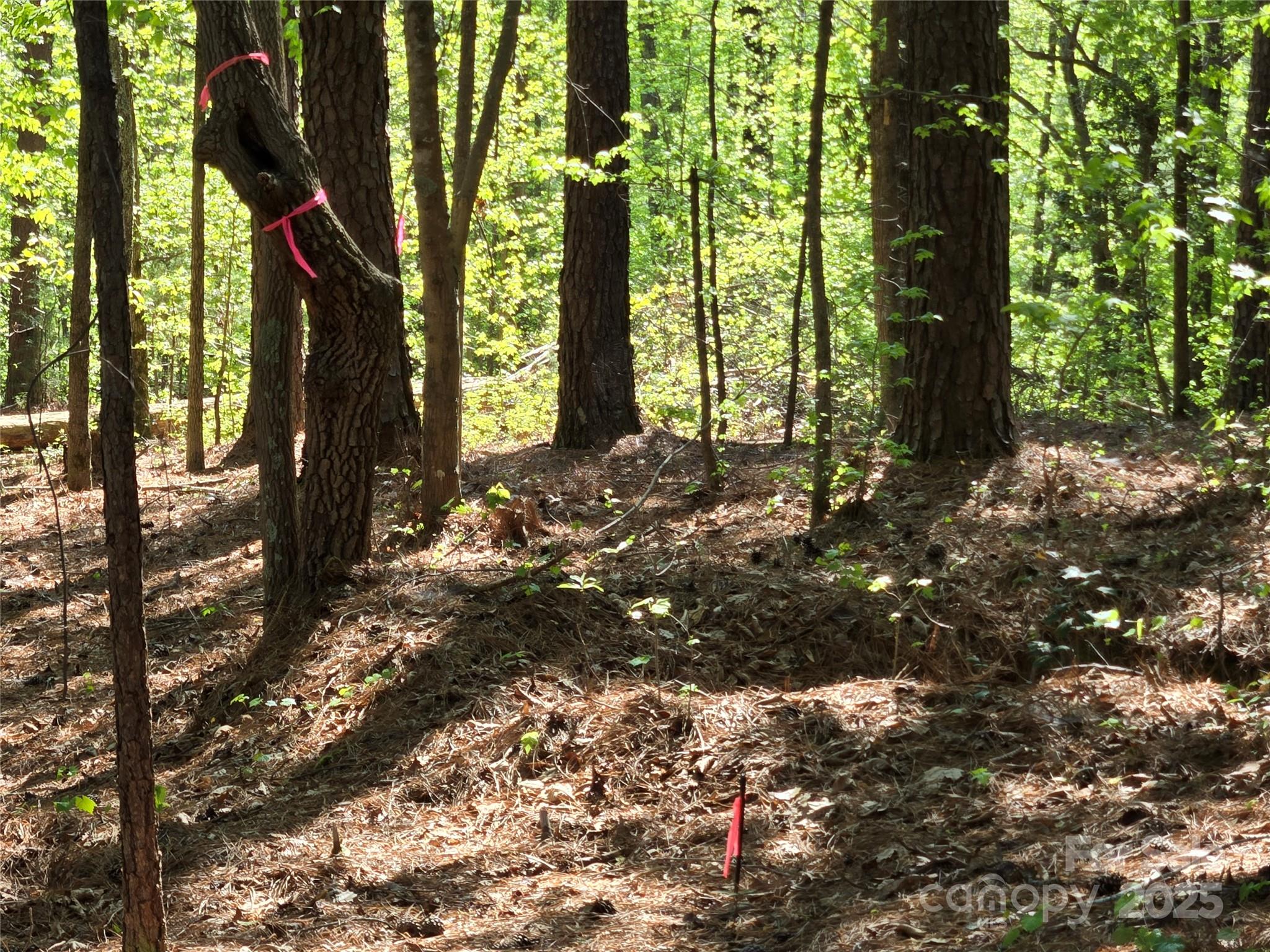 133 Baden View Road Badin Lake, NC 28127 - Photo 17 of 48