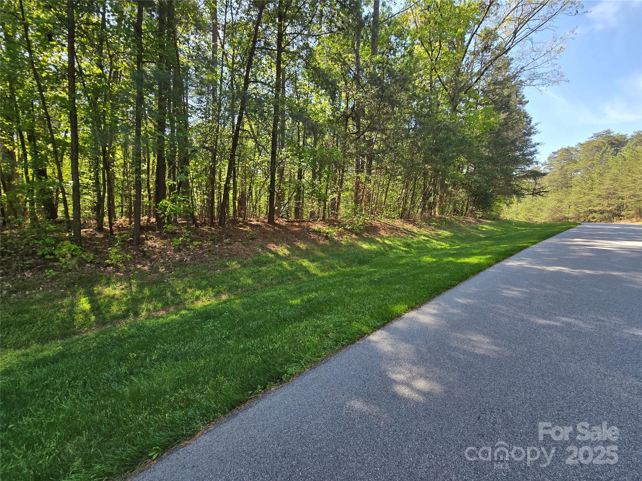 133 Baden View Road Badin Lake, NC 28127 - Photo 18 of 48 a view of a park with large trees