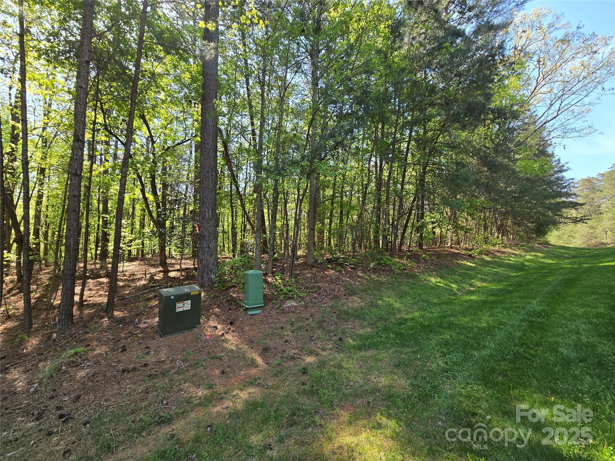133 Baden View Road Badin Lake, NC 28127 - Photo 19 of 48 a view of a forest with trees