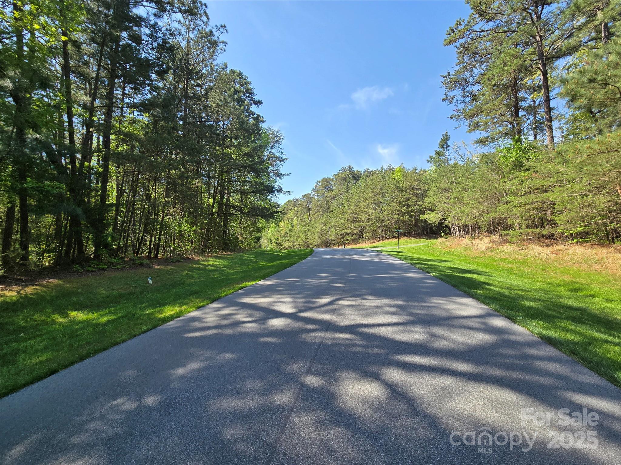 133 Baden View Road Badin Lake, NC 28127 - Photo 21 of 48 a view of a yard with a tree
