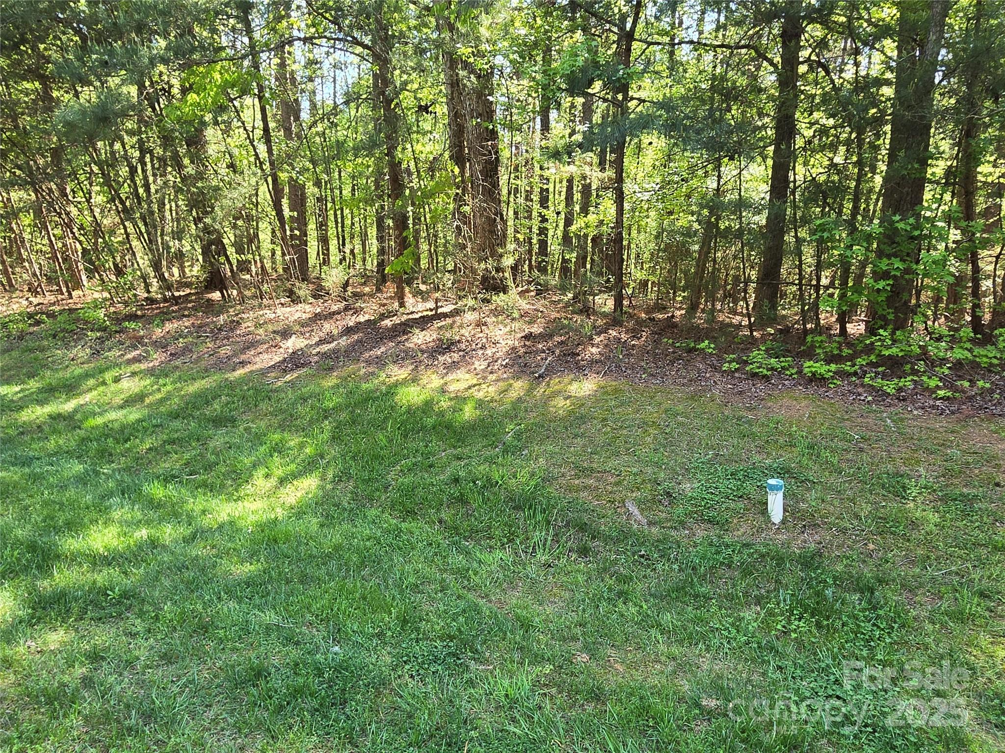 133 Baden View Road Badin Lake, NC 28127 - Photo 23 of 48 a view of outdoor space with trees all around