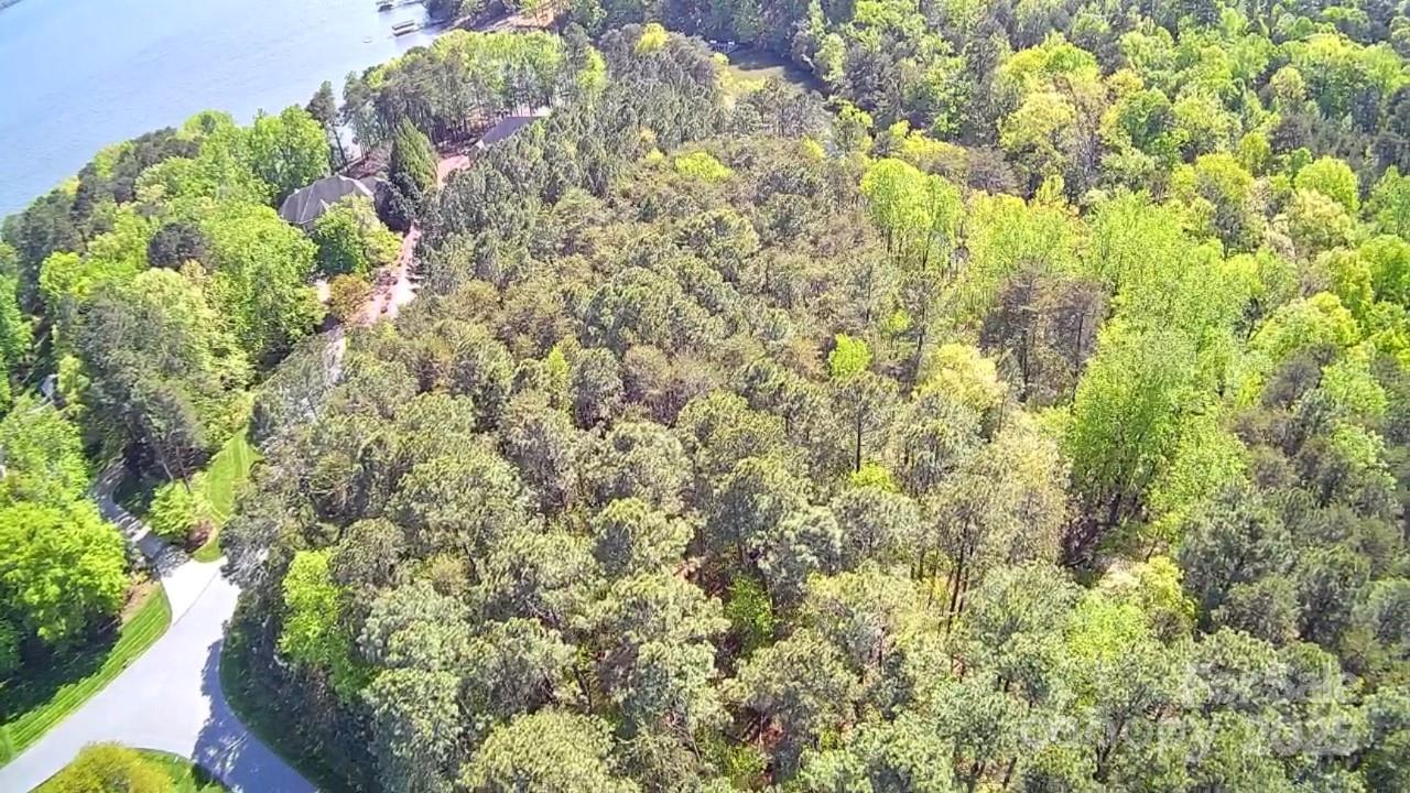 133 Baden View Road Badin Lake, NC 28127 - Photo 31 of 48 a close up of a plant