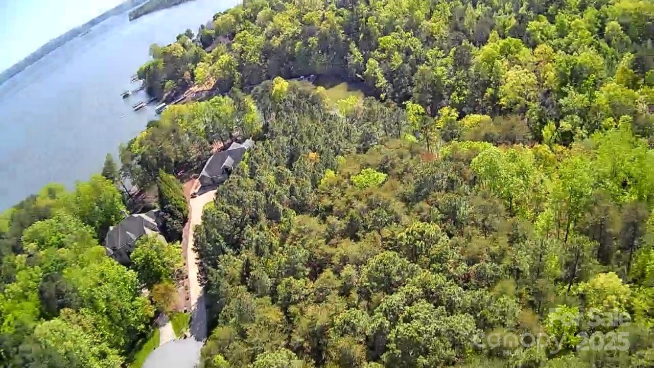 133 Baden View Road Badin Lake, NC 28127 - Photo 33 of 48 a close up of a plant