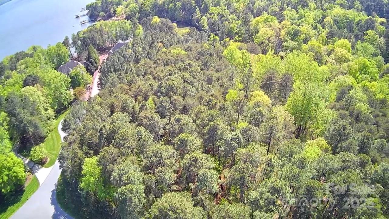 133 Baden View Road Badin Lake, NC 28127 - Photo 34 of 48 a close up of a plant