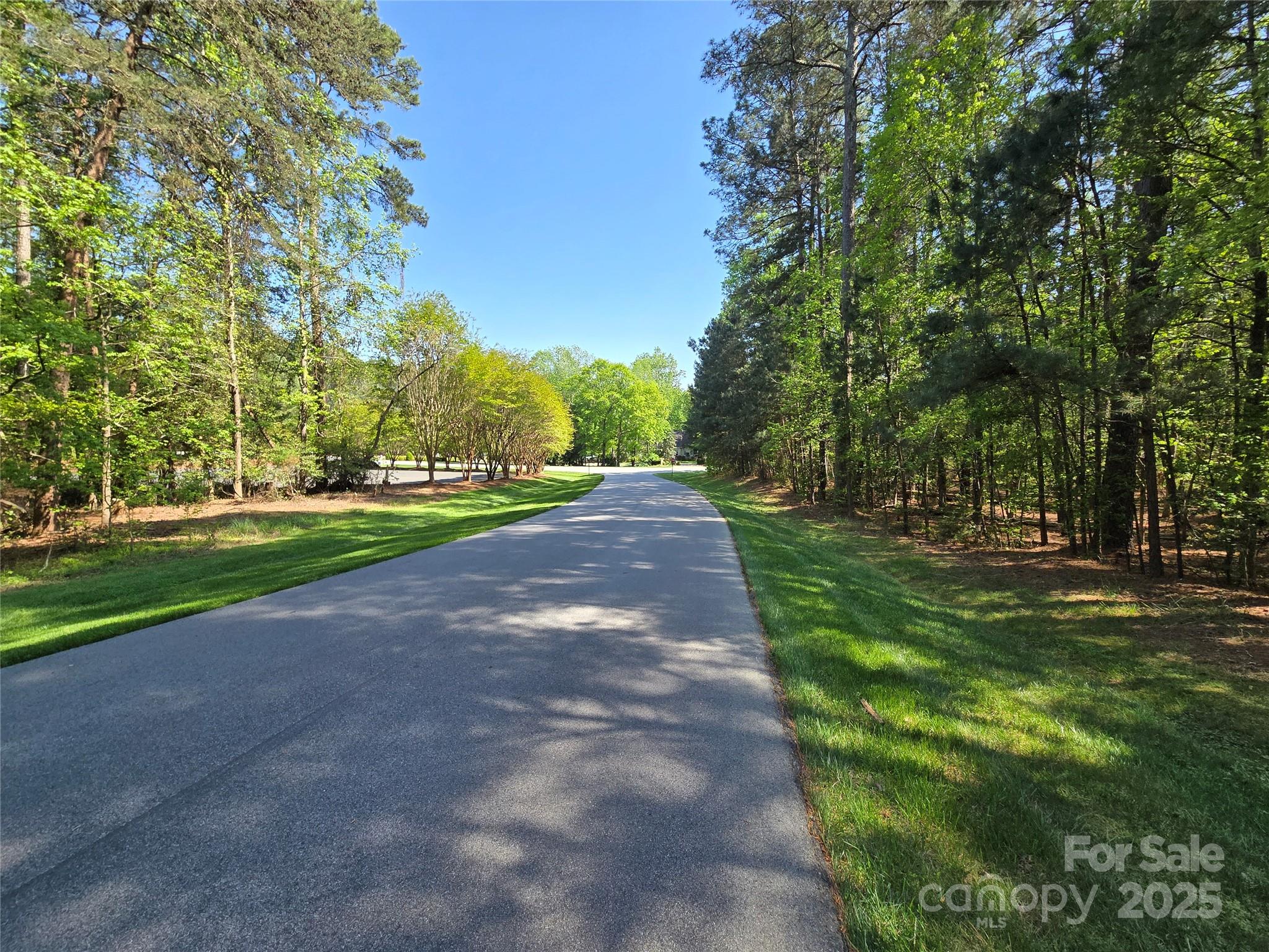 133 Baden View Road Badin Lake, NC 28127 - Photo 4 of 48 a view of a yard with large trees
